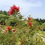 فندق مبيت وإفطار Domaine Le Rucher Des Combes 3*